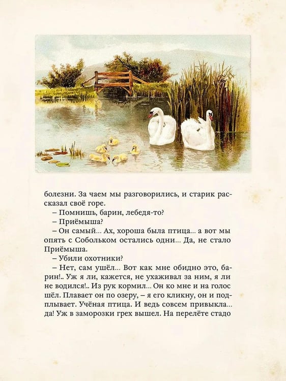 Дополнительное изображение книги «Наши верные друзья: стихи и рассказы русских писателей о дом.животных»