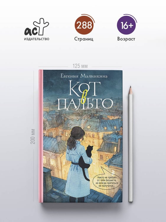 Дополнительное изображение книги «Кот в пальто»