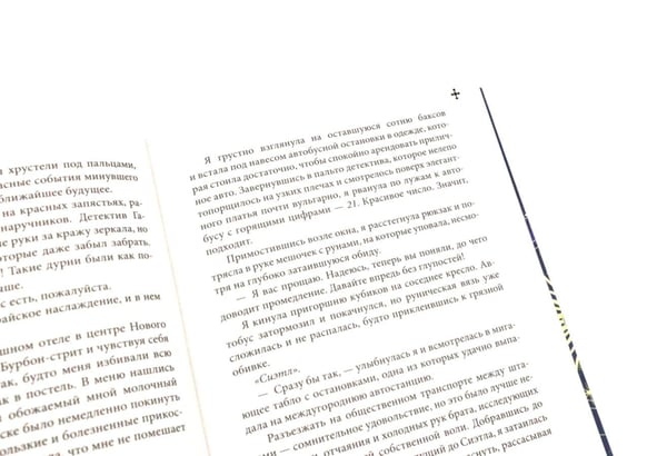 Дополнительное изображение книги «Ковен озера Шамплейн (комплект книга + тетрадь)»