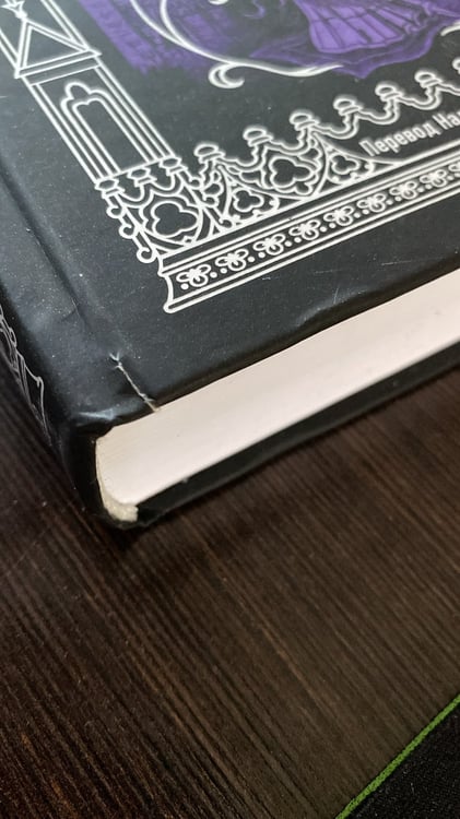 Дополнительное изображение книги «Собор Парижской Богоматери. Вечные истории»