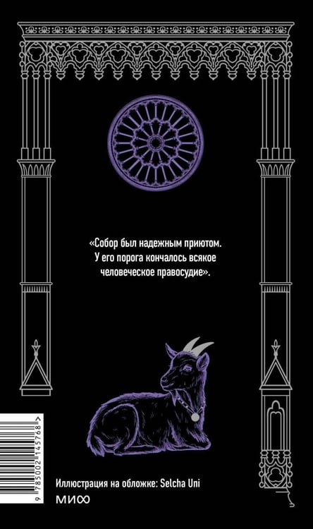 Дополнительное изображение книги «Собор Парижской Богоматери. Вечные истории»