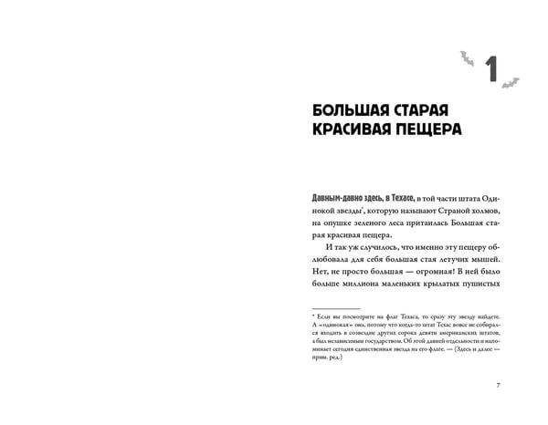 Дополнительное изображение книги «Песни летучих мышей»