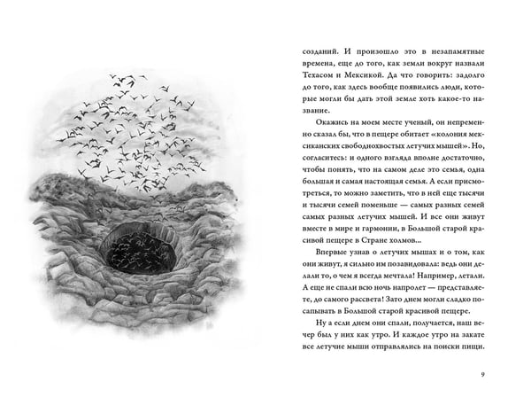 Дополнительное изображение книги «Песни летучих мышей»