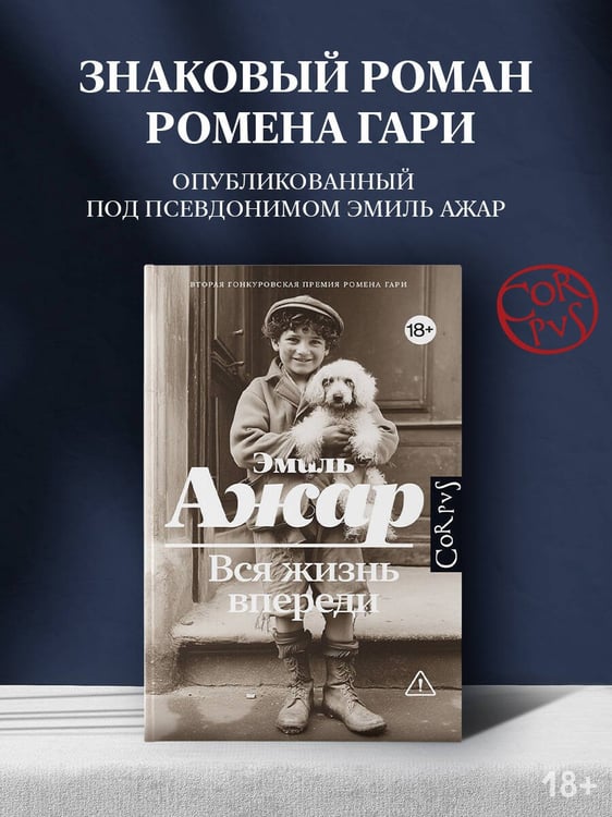 Дополнительное изображение книги «Вся жизнь впереди»