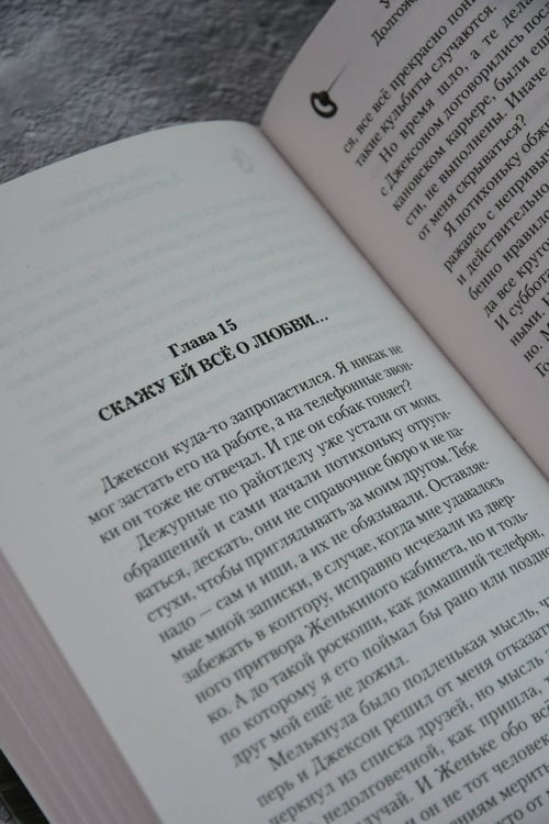 Дополнительное изображение книги «Убей-городок. Долгожданная кража»