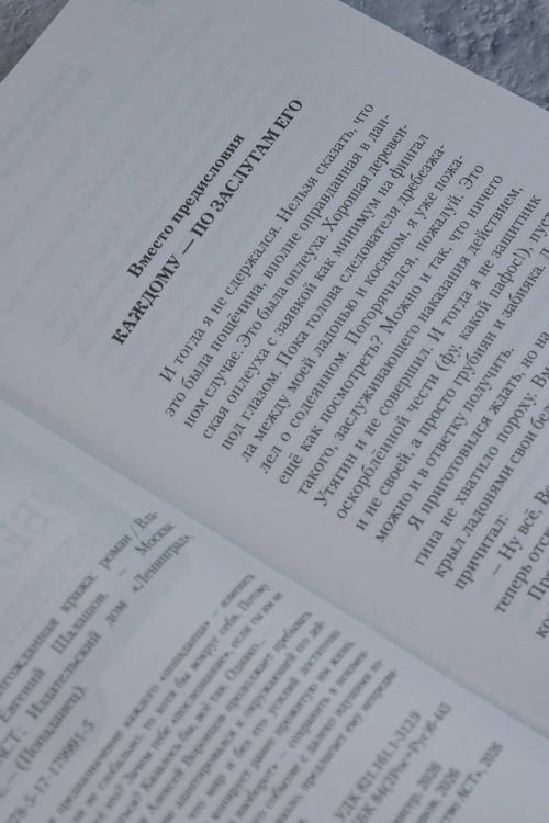 Дополнительное изображение книги «Убей-городок. Долгожданная кража»