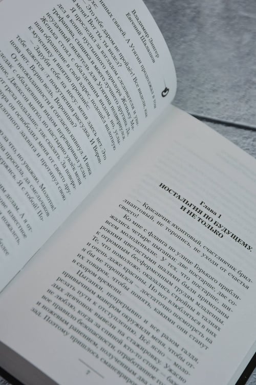 Дополнительное изображение книги «Убей-городок. Долгожданная кража»