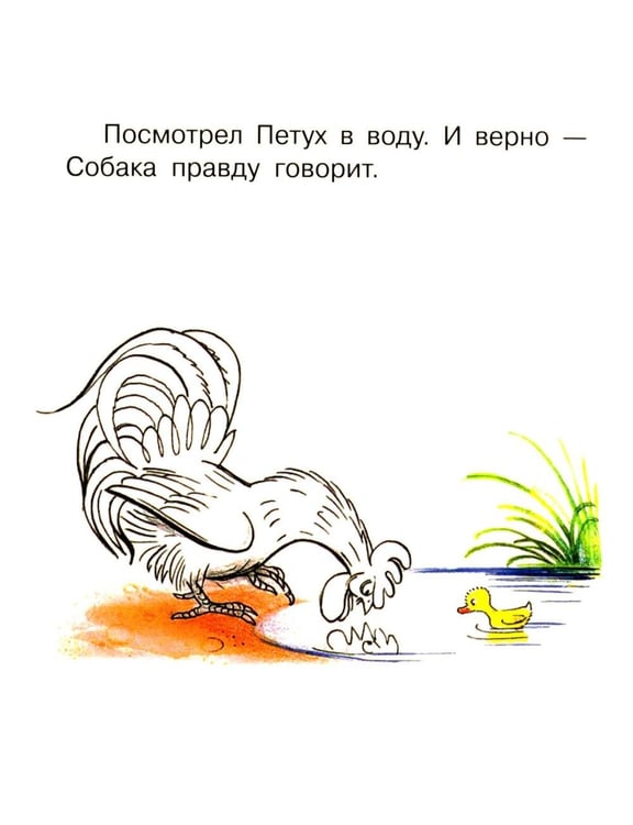 Дополнительное изображение книги «Петух и краски»