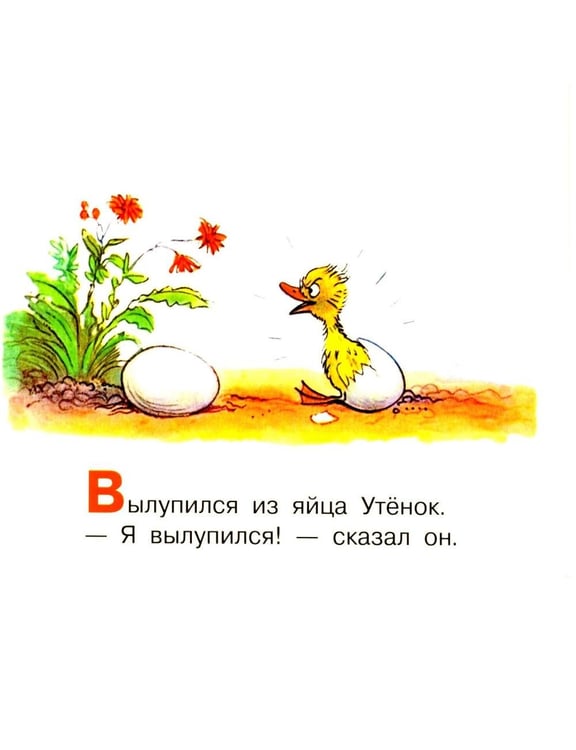 Дополнительное изображение книги «Цыпленок и Утенок»