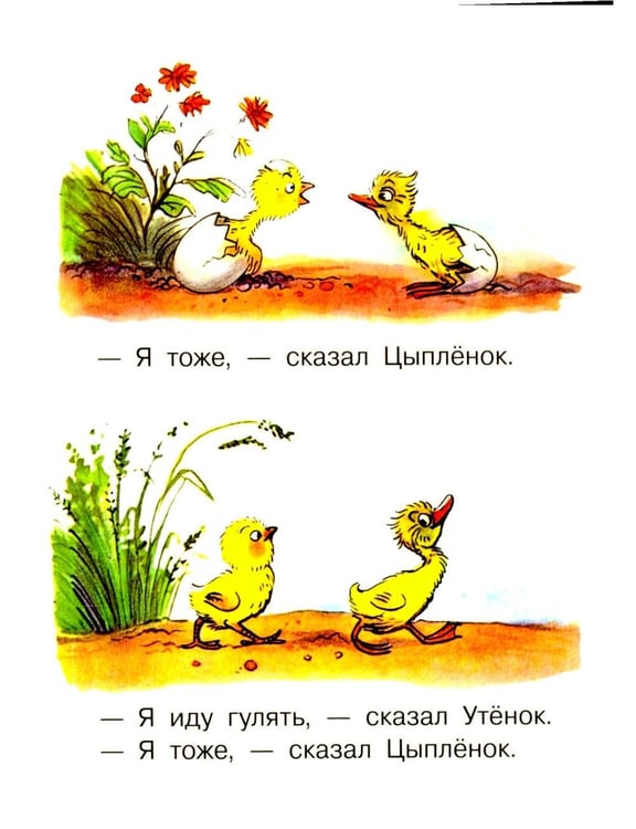 Дополнительное изображение книги «Цыпленок и Утенок»