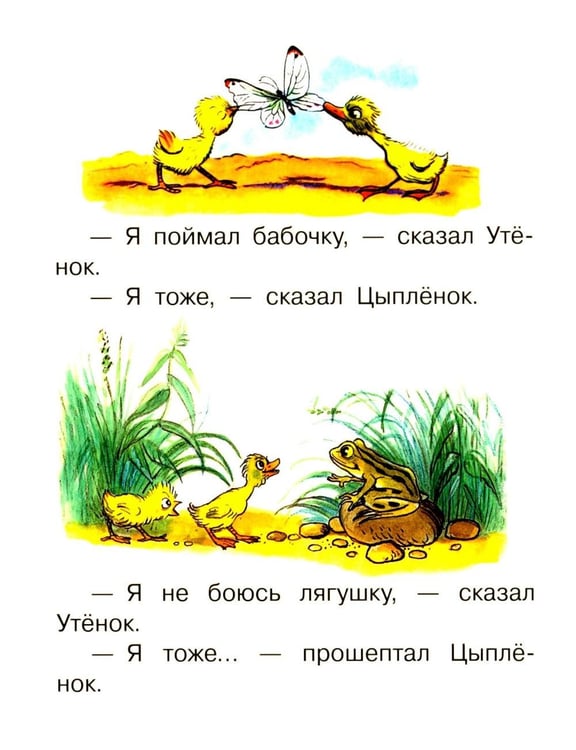 Дополнительное изображение книги «Цыпленок и Утенок»