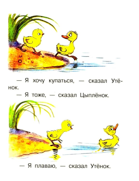 Дополнительное изображение книги «Цыпленок и Утенок»
