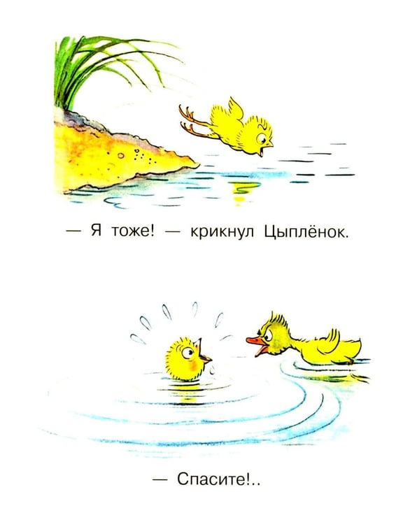 Дополнительное изображение книги «Цыпленок и Утенок»