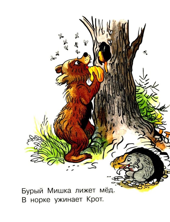 Дополнительное изображение книги «Про девочку, которая плохо кушала»