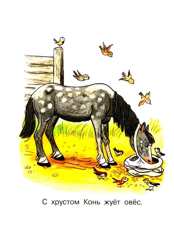 Дополнительное изображение книги «Про девочку, которая плохо кушала»