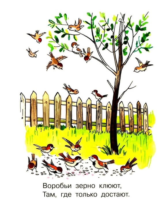 Дополнительное изображение книги «Про девочку, которая плохо кушала»