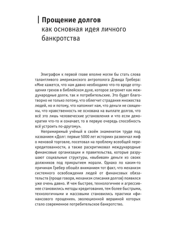 Дополнительное изображение книги «Долг и освобождение»