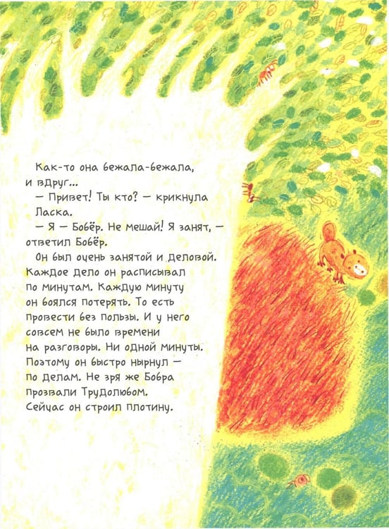 Дополнительное изображение книги «Ой! Маленькая ласка узнает мир»