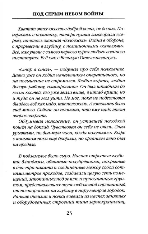 Дополнительное изображение книги «Под серым небом войны»