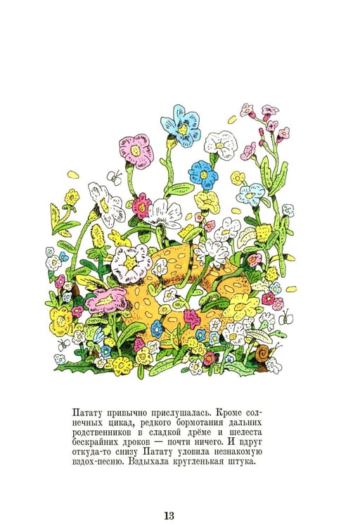 Дополнительное изображение книги «Патату и Кулури»
