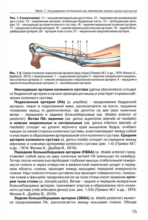 Дополнительное изображение книги «Ультразвуковое исследование при заболеваниях артерий и вен нижних конечностей: Учебное пособие. 2-е изд., испр.и доп»