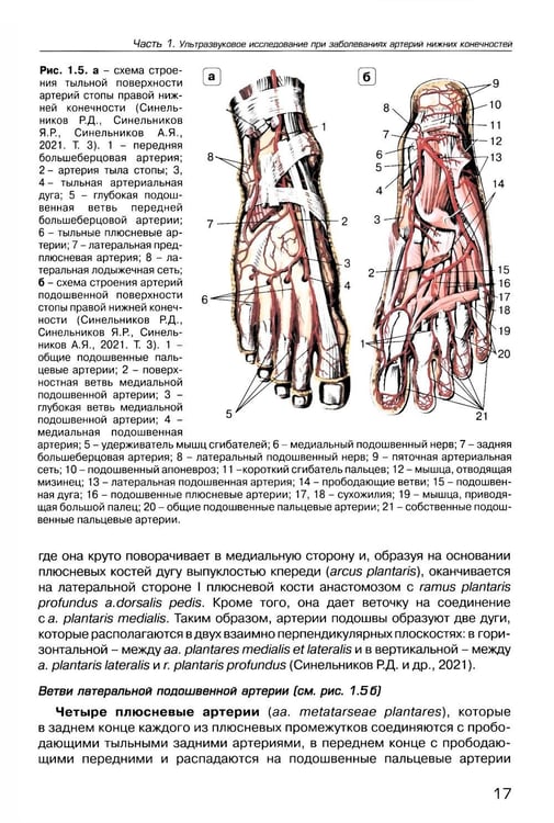 Дополнительное изображение книги «Ультразвуковое исследование при заболеваниях артерий и вен нижних конечностей: Учебное пособие. 2-е изд., испр.и доп»