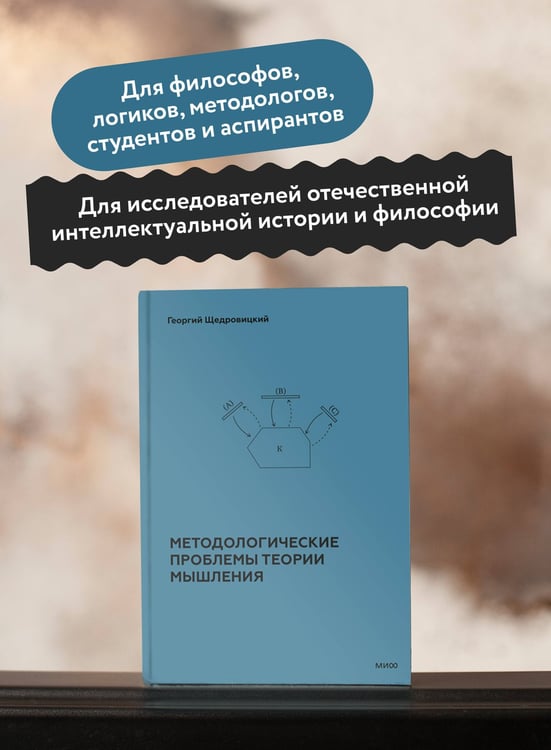 Дополнительное изображение книги «Методологические проблемы теории мышления»