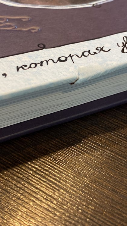 Дополнительное изображение книги «Неуклюжая Анна»