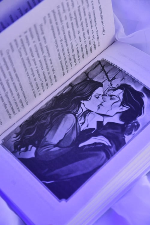 Дополнительное изображение книги «Невеста для снежного волка»
