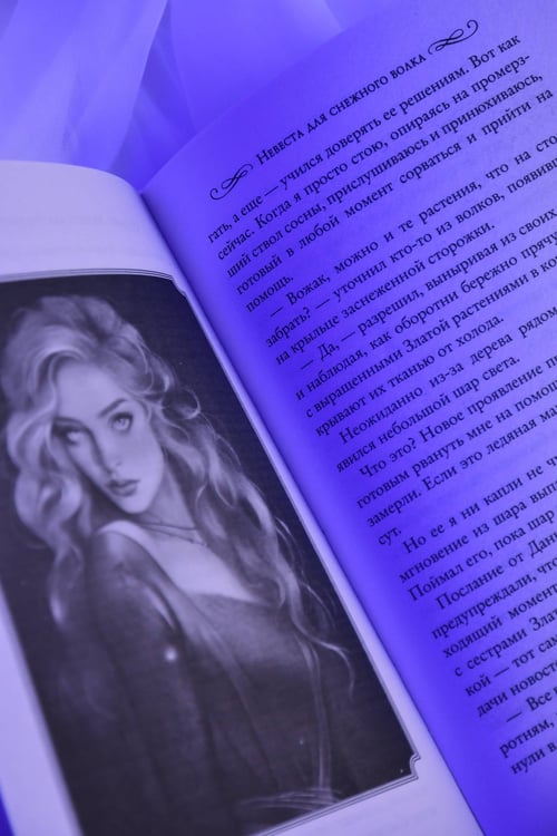 Дополнительное изображение книги «Невеста для снежного волка»
