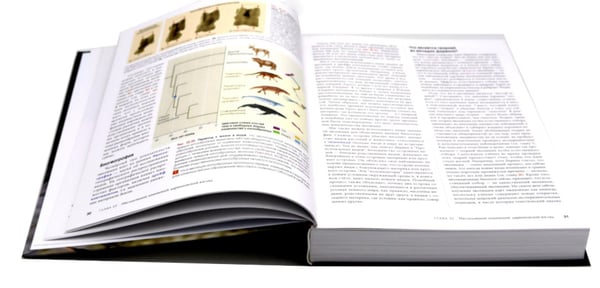 Дополнительное изображение книги «Биология Campbell. Т. 1-3 (комплект)»