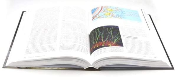 Дополнительное изображение книги «Биология Campbell. Т. 1-3 (комплект)»