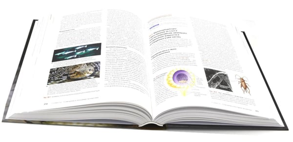 Дополнительное изображение книги «Биология Campbell. Т. 1-3 (комплект)»
