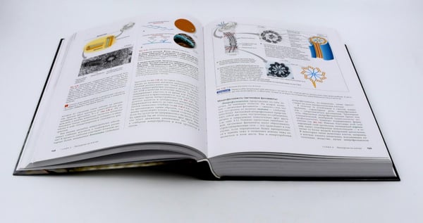 Дополнительное изображение книги «Биология Campbell. Т. 1-3 (комплект)»