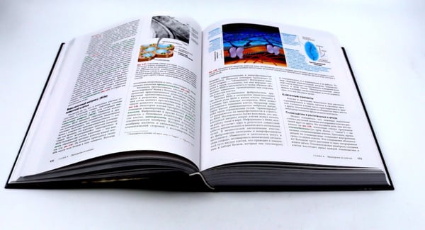 Дополнительное изображение книги «Биология Campbell. Т. 1-3 (комплект)»