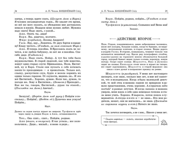 Дополнительное изображение книги «Вишнёвый сад. Рассказы»