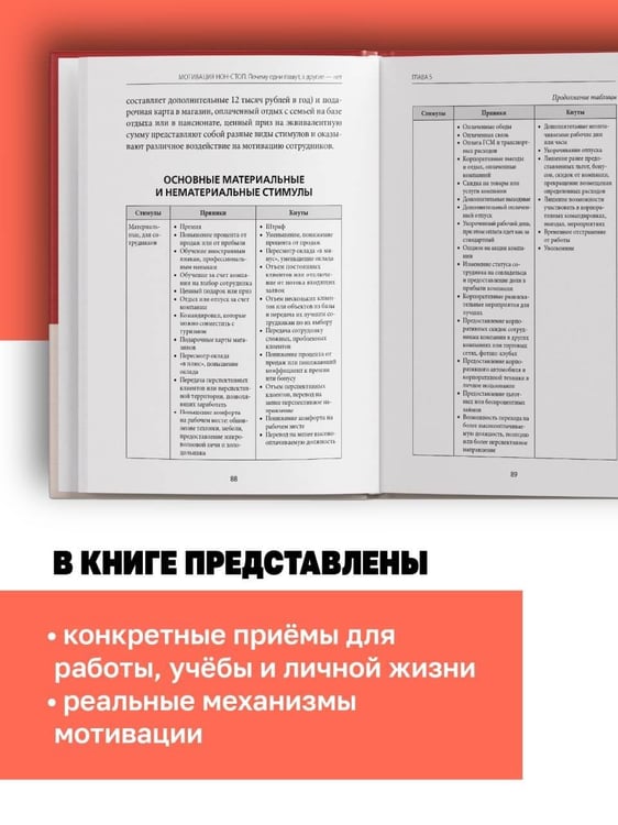 Дополнительное изображение книги «Мотивация нон-стоп. Почему одни пашут, а другие - нет»
