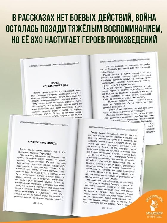 Дополнительное изображение книги «Шопен, соната номер два. Рассказы»
