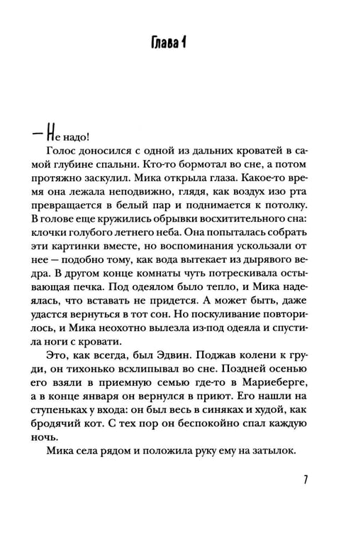 Дополнительное изображение книги «Ночной ворон»