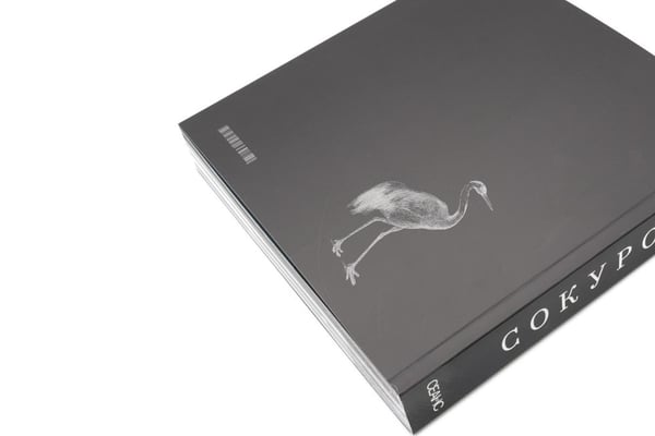 Дополнительное изображение книги «Сокуров»