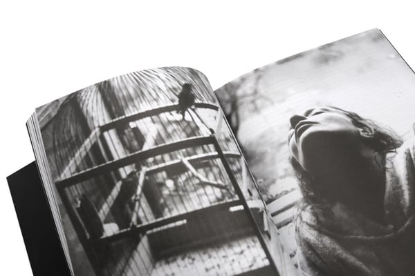 Дополнительное изображение книги «Сокуров»