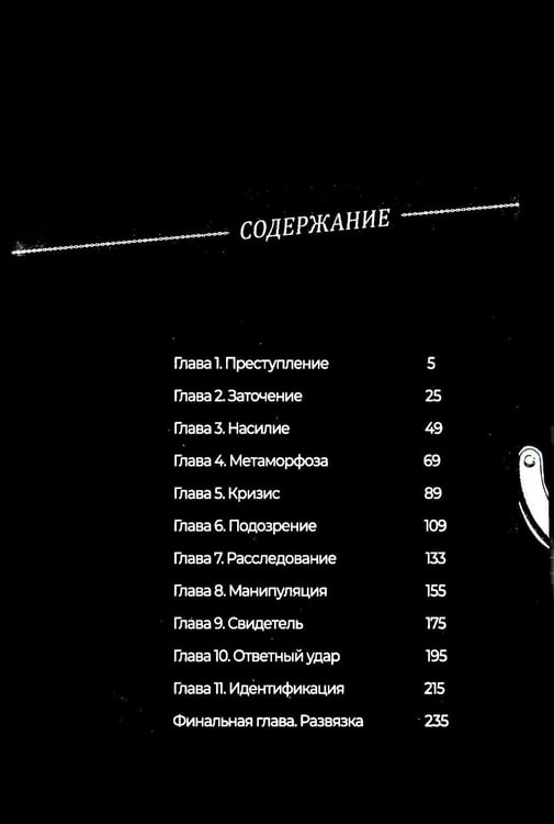 Дополнительное изображение книги «Детектив в заточении. Т. 1»
