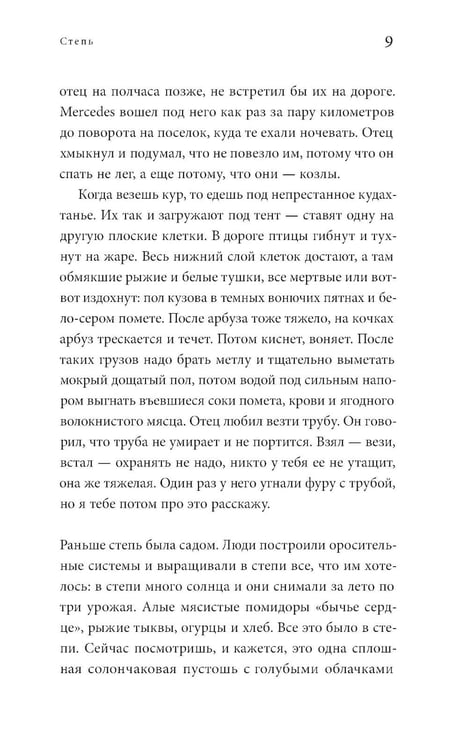 Дополнительное изображение книги «Степь: роман. 2-е изд»