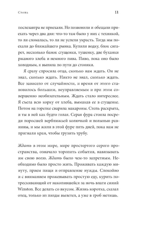 Дополнительное изображение книги «Степь: роман. 2-е изд»