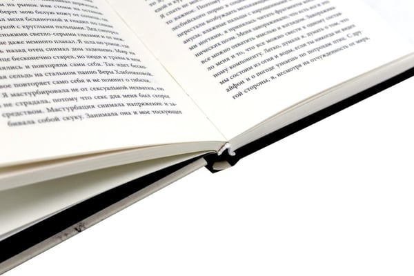 Дополнительное изображение книги «Степь: роман. 2-е изд»