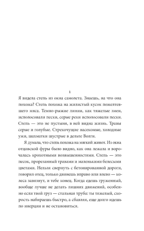 Дополнительное изображение книги «Степь: роман. 2-е изд»