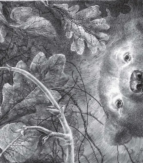 Дополнительное изображение книги «Когда мне хочется молчать»