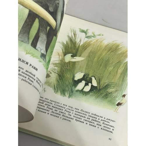 Дополнительное изображение книги «Вежливый бычок»