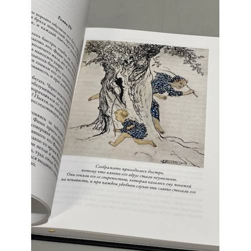 Дополнительное изображение книги «Ирландские предания»