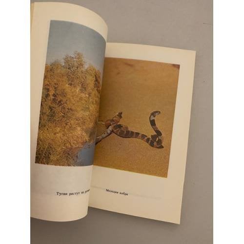 Дополнительное изображение книги «В поисках кобры. Записки герпетолога»